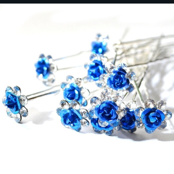 Accessories - 4XHP!! NWT Beautiful Boho 10 Piece Blue Roses Hair Clips!